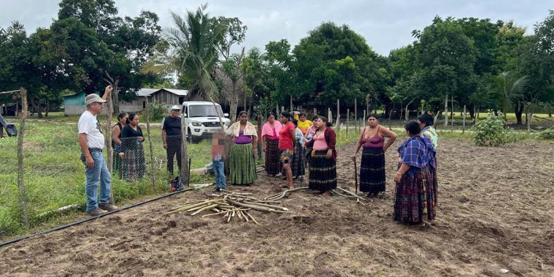 Fortalecen producción agrícola y seguridad alimentaria en Sayaxché