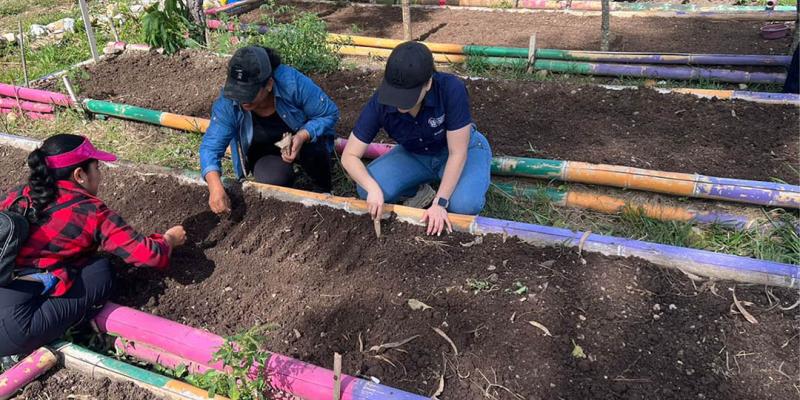 Fortalecen seguridad alimentaria en Chiquimula con acciones agrícolas y validación de menús escolares