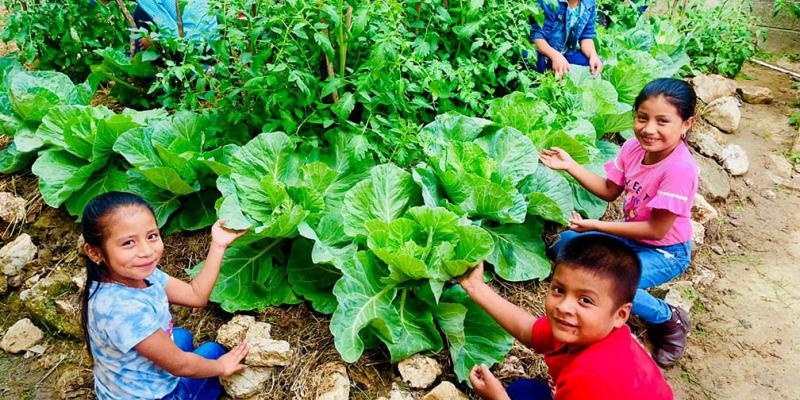 Huerto escolar en Tierra Blanca, siembra de conocimientos y valores