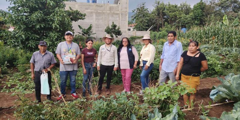 Huertos familiares impulsan la seguridad alimentaria en Santa Rosa