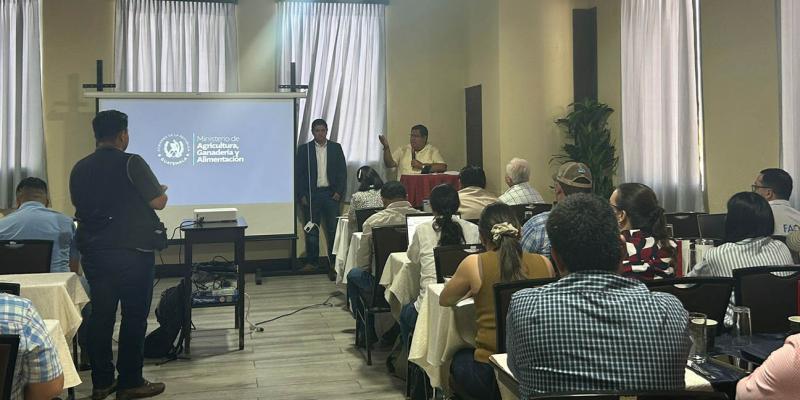 Impulsan control y manejo del Gusano Barrenador en Chiquimula