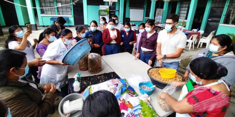 Impulsan fortalecimiento de la producción de hongo ostra en Sololá