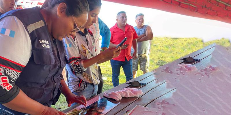 Impulsan pesca sostenible y dinamización económica en el lago Petén Itzá