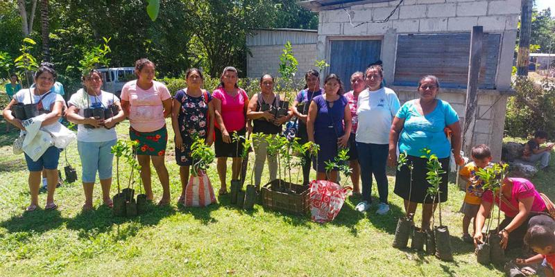 Impulsan producción de frutales en San Andrés, Petén