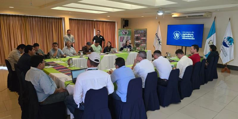 Inicia proceso para definir Plan Estratégico de Ganadería Sostenible en Petén