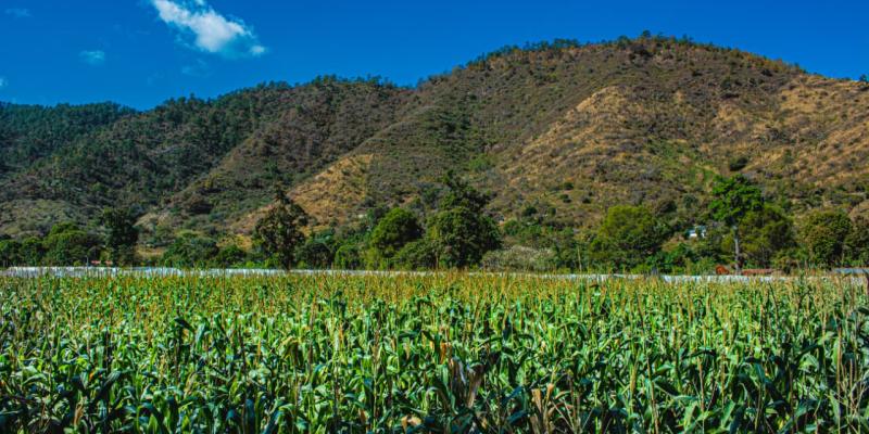 Monitorean 12 departamentos por saturación de suelos