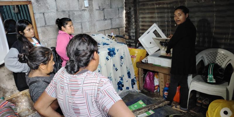 Mujeres de San Miguel Petapa optimizan capacidades en producción avícola