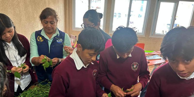 Promueven alimentación saludable en jóvenes de Almolonga