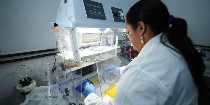 Reactivan diagnóstico molecular para fortalecer detección de plagas en cultivos