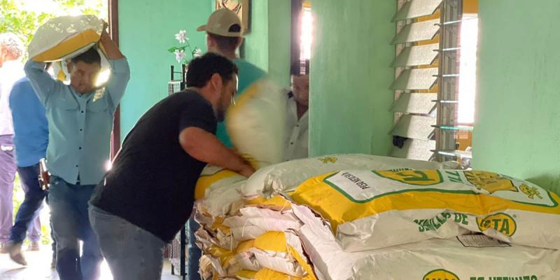 Semilla de calidad llega a productores de la región Chortí