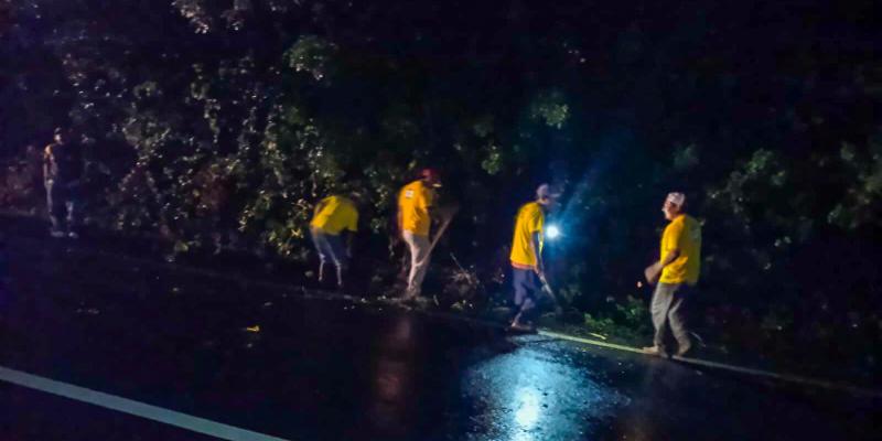 Covial retira árbol caído y restablece paso en la CA-1 Oriente