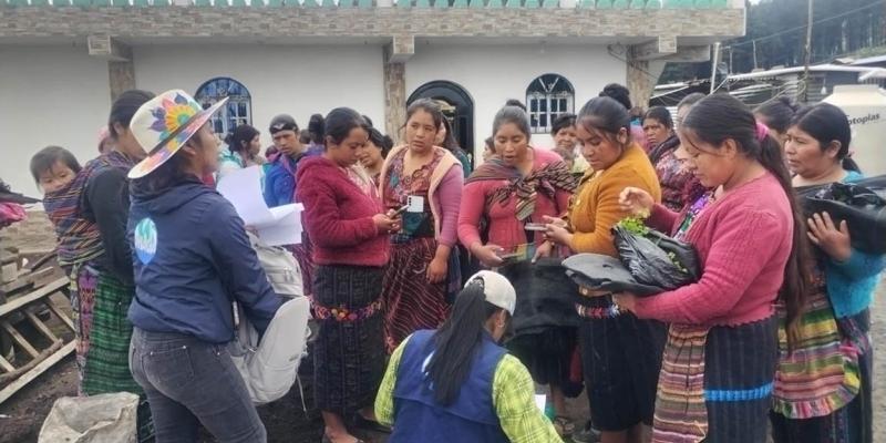 Huertos verticales: una solución para la producción de alimentos en Sololá