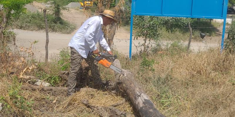Las labores incluyen la poda de árboles y el corte de maleza en la pista, así como el reforzamiento de las áreas perimetrales para prevenir el ingreso de personas no autorizadas, semovientes y animales pequeños, como perros. 