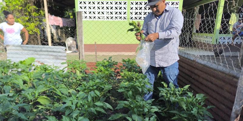 Agricultores de Melchor de Mencos reciben asistencia técnica