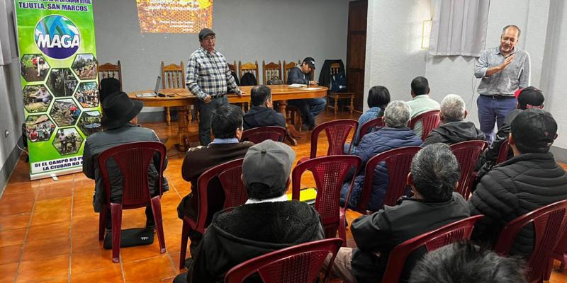 Apicultores de San Marcos aprenden de la cadena de valor del apiario