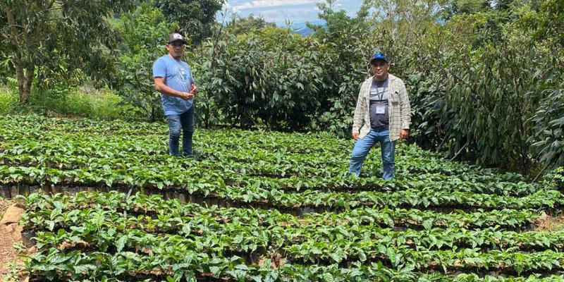 Apoyan con asistencia técnica a caficultores de Zacapa