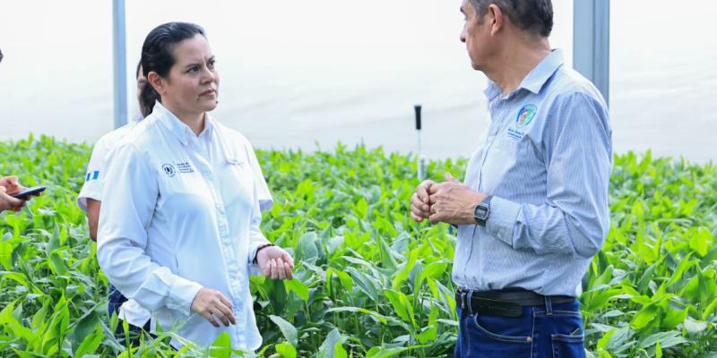 Asistencia técnica y equipamiento impulsa la economía de las cooperativas agrícolas