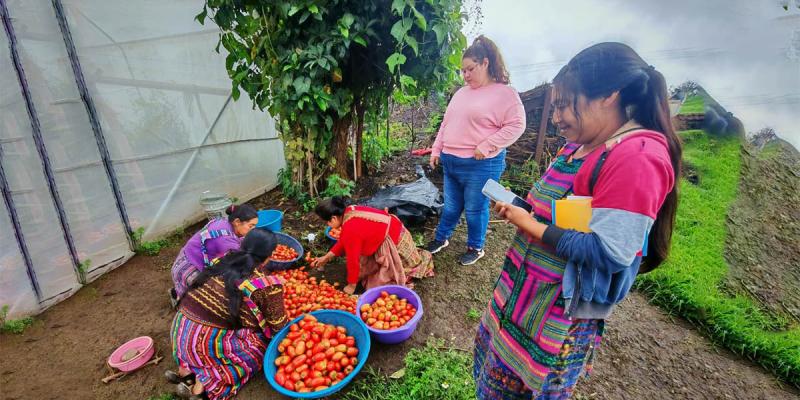 Brindan asistencia técnica a huertos de Quetzaltenango