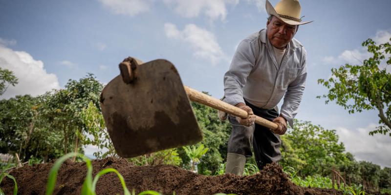 Conozca cómo el Crédito Tob’anik puede impulsar su producción