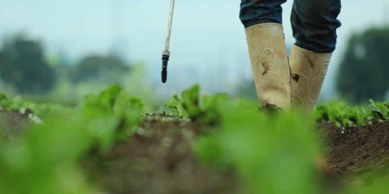 Control y regulación de insumos agrícolas fortalece la producción nacional