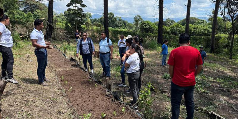 Directores de centros educativos de Santa Rosa reciben herramientas y capacitación para huertos escolares