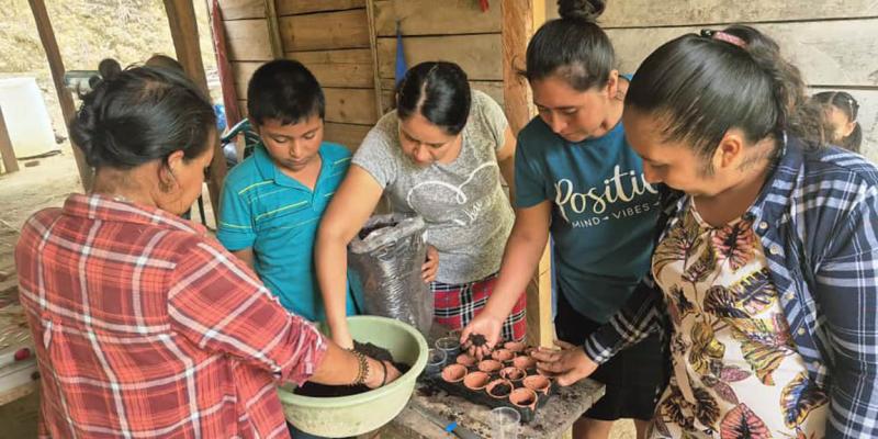 Elaboración de semilleros artesanales apoya la seguridad alimentaria
