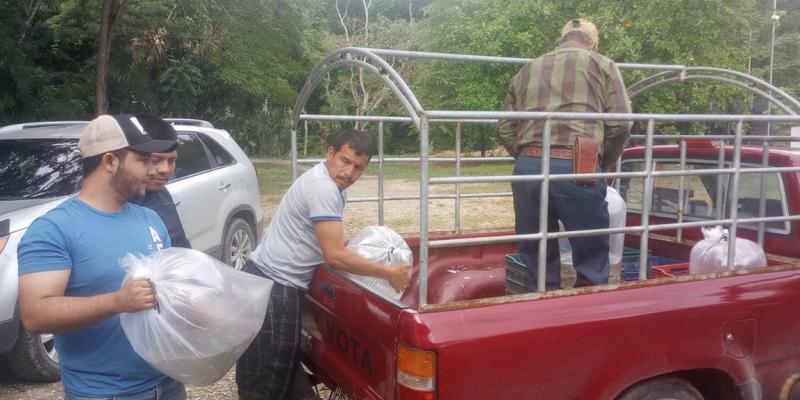 Entregan de alevines para fortalecer la producción acuícola en Sayaxché 