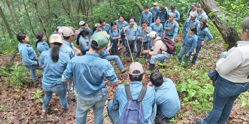 Estudiantes de la ENCA amplían conocimientos en prácticas forestales