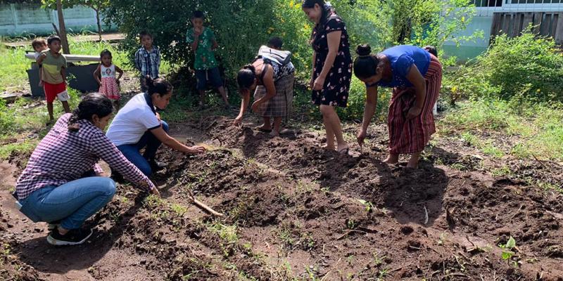 Huertos comunitarios apoyan la seguridad alimentaria en Retalhuleu