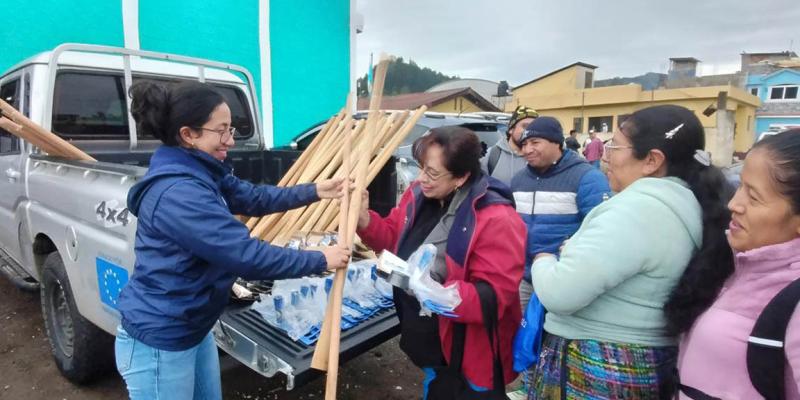 Huertos escolares fortalecen la agricultura familiar y la educación alimentaria