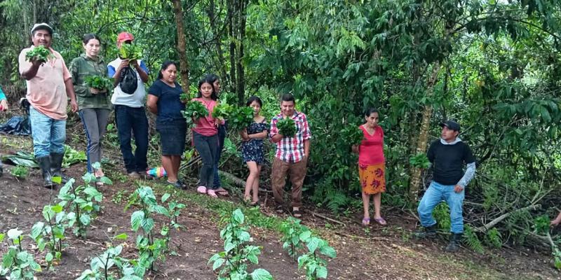 Huertos y acciones por la conservación de las microcuencas benefician a familias zacapanecas
