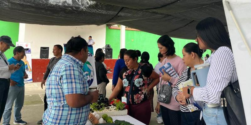 Impulsan a productores locales para que se integren al PAE 