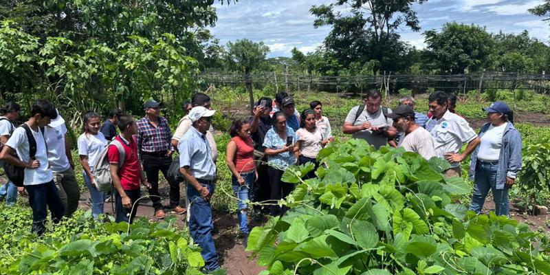Intercambio de experiencias fortalece el Sistema de Extensión Rural