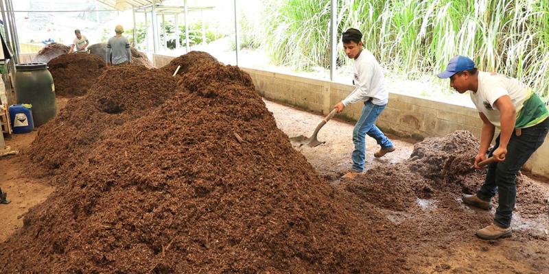 La Agricultura Generativa