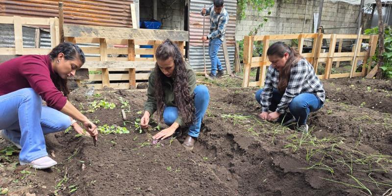 Los huertos demostrativos son una herramienta para el desarrollo agrícola