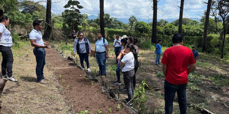 Más de 900 centros educativos fortalecen el aprendizaje con huertos escolares