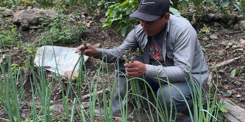 Mano a Mano fortalece la agricultura familiar de Jocotán