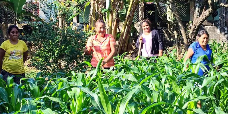 Monitoreo y asistencia técnica fortalecen producción en huerto comunal de San Marcos