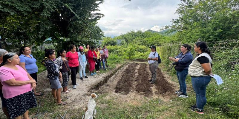 Mujeres rurales fortalecen rol en la agricultura familiar