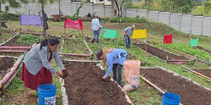 Nueva siembre fortalece huerto comunal en Esquipulas 