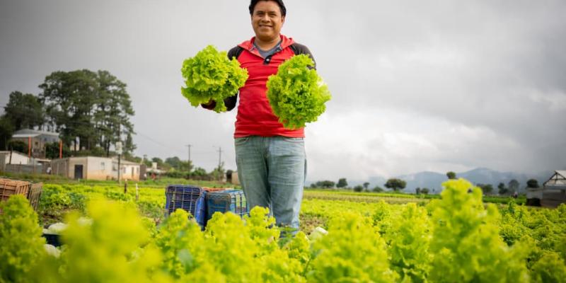 Presentarán oportunidades de inversión para fortalecer la agricultura y el desarrollo 