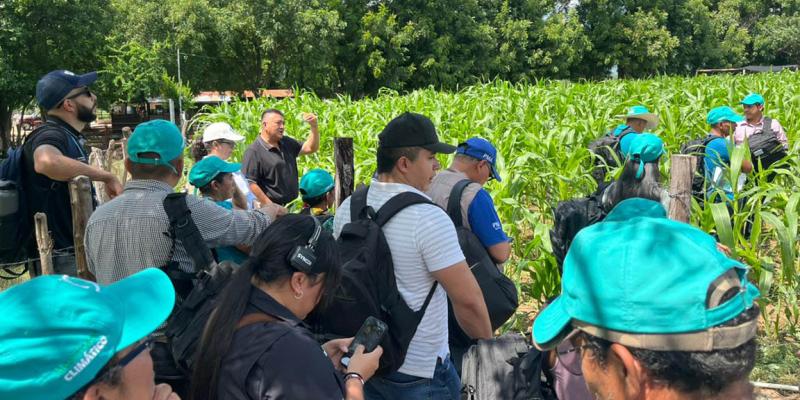 Productores se preparan para enfrentar el cambio climático 