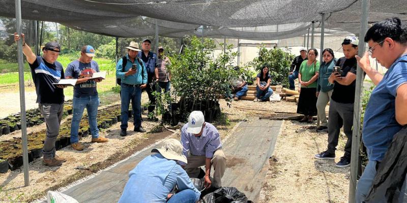 Promueven prácticas agrícolas sostenibles con uso de microorganismos de montaña 