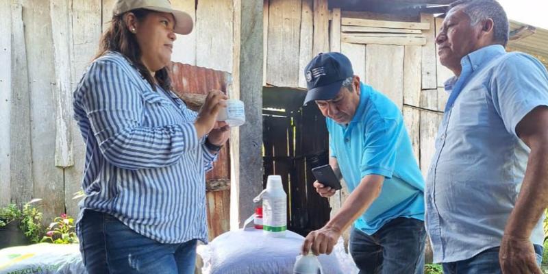 Proyectos agrícolas fortalecen la producción de frijol en San Andrés Petén
