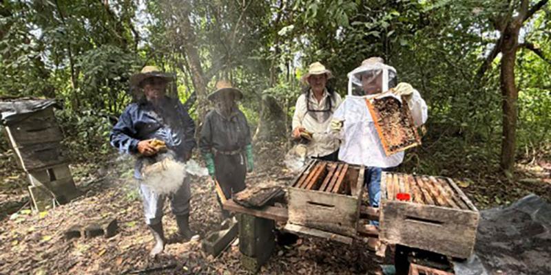 Realizan diagnóstico de patologías apícolas en apiarios de la Costa Sur