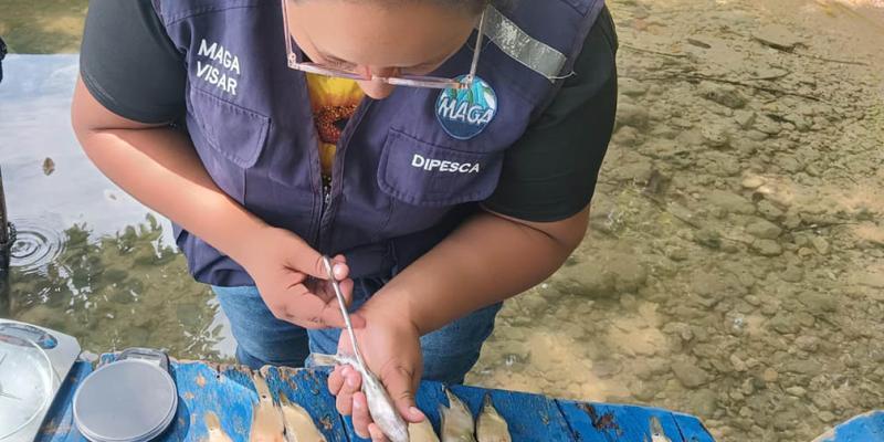 Realizan monitoreo biológico pesquero en distintos puntos del país