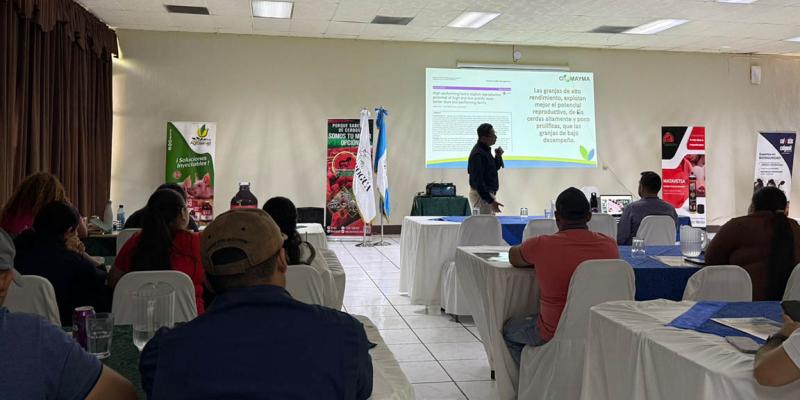 Taller fortalece conocimientos técnicos en producción porcina 