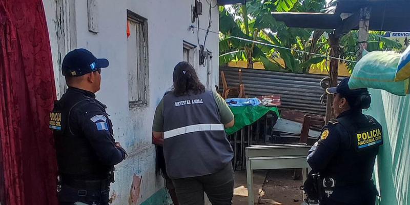 UBA actúa ante caso de maltrato animal evidenciado en redes sociales