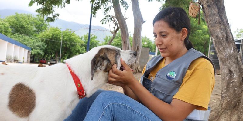 Un día para recordar que los animales también sienten