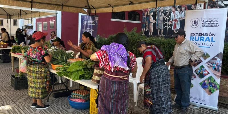 Vegetales frescos a precios accesibles en la Feria del Agricultor de Sololá